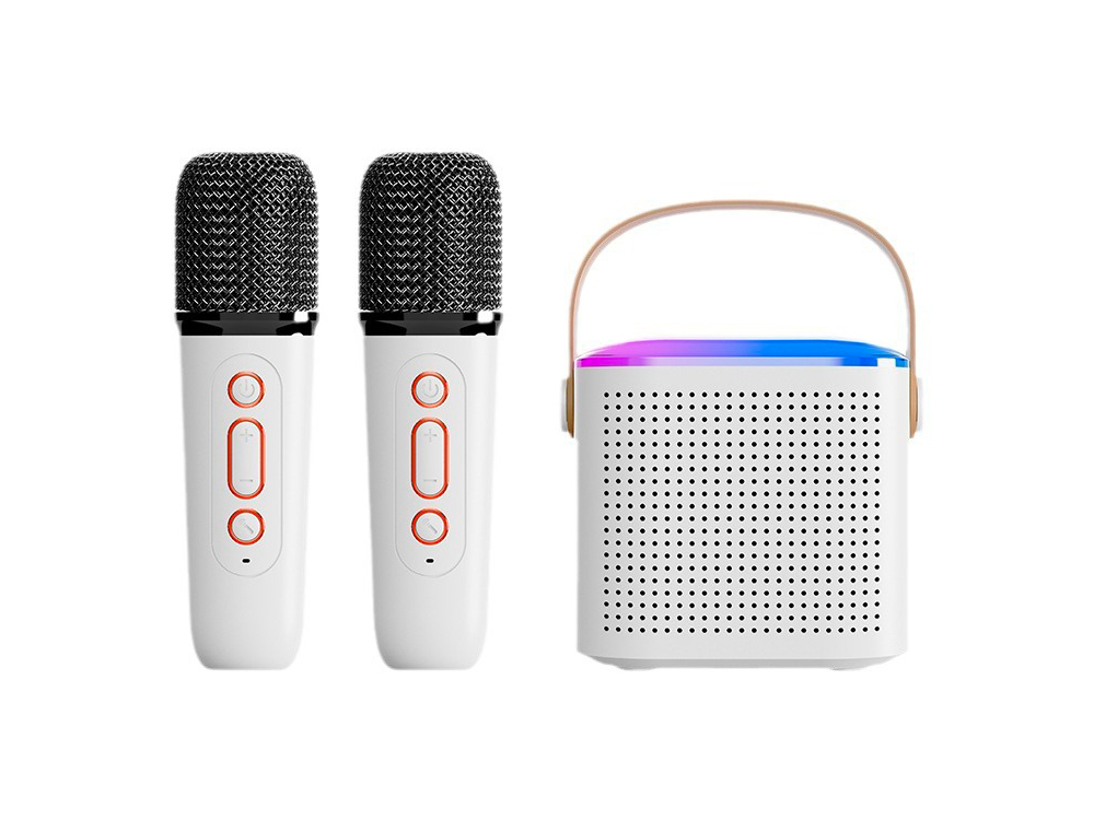 Mini Karaoké EKO Bluetooth 5.3 - Modèle Taylor