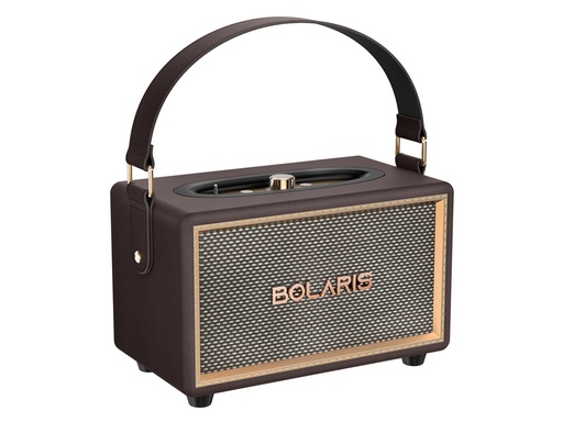 [Y130] Enceinte Bluetooth 5.3 40 W Bolaris - Modèle Lincoln (Marron)